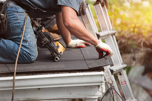 Best Roof Gutter Cleaning  in Ormond By The Sea, FL